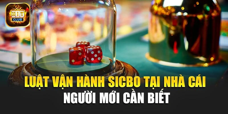 Luật vận hành Sicbo tại nhà cái người mới cần biết